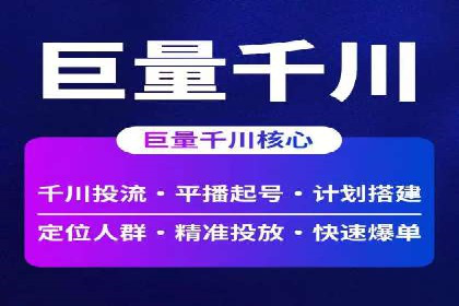 行业领先企业的信息流竞价策略揭秘